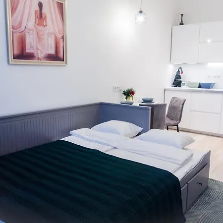 Apartment 15 Naugarduko Gatve Vilnius