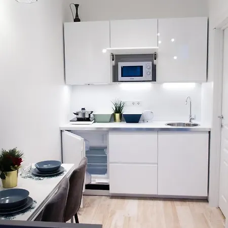 15 Naugarduko Gatve Apartment